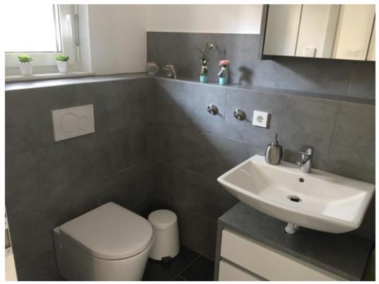 Ferienwohnung Bodensee Nenzingen Hegau Orsingen-Nenzingen Ngoại thất bức ảnh